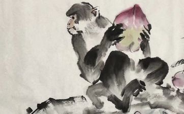 猴与蛇相合吗 为什么猴遇蛇有福气