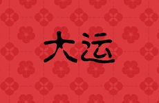 1984年属鼠人何时走大运