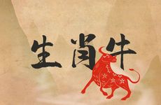 1973年生肖牛人适合什么工作