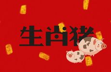 生肖猪在2025年12月运势