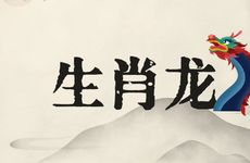 生肖龙2025年12月运势