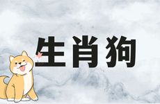 1994年生肖狗二婚会在哪几年