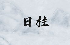 癸巳日柱女命嫁的老公什么命