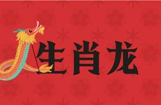 生肖龙不能用虎头像吗女生