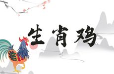 生肖鸡2025年12月运势如何