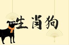 生肖狗走偏财最厉害的时间