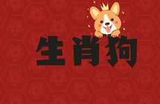 1982年生肖狗一生三大劫难