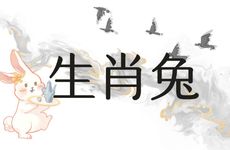 为什么生肖龙要远离生肖兔