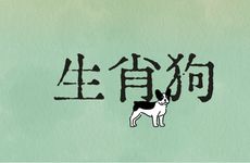 生肖狗今年几月份有偏财运