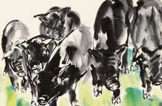 1971年几月猪最有福气