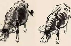 牛牛相配的建议和注意事项