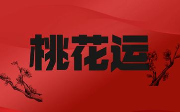 七杀格女命桃花运旺财运极佳