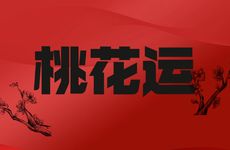 七杀格女命桃花运旺财运极佳