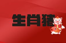 95年生肖猪旺事业的手机尾号