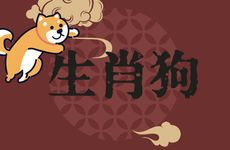 生肖狗2026年乔迁搬家好吗?