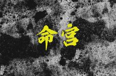 天机红鸾寡宿在命宫