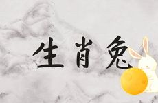 哪个月的生肖龙与生肖兔不相害