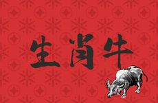 生肖牛人最倒霉的年份