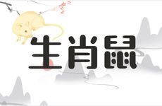 1984年生肖鼠人三大劫难