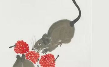 十二月出生的鼠命好吗 十二月出生的鼠命好吗