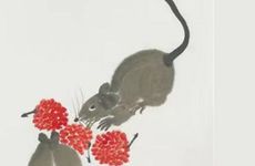 84年老鼠为什么有二婚命