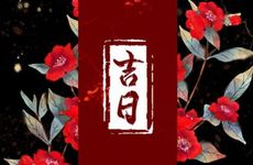 2026年1月10日是黄道吉日吗?是农历几月几?