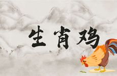 生肖鸡忌讳什么属相的父母子女朋友