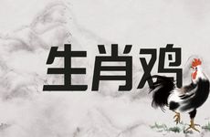 两个生肖鸡人婚配运势会怎样