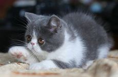 民间流传的阎罗王的来历