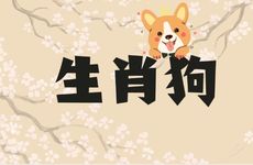 1982年生肖狗44岁运气好吗