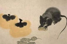 男鼠比女龙大4岁婚配宜忌