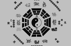 哪些八字的人能够坚持爱情