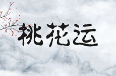 年龄越大桃花运反而越好的星座