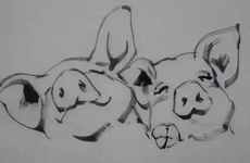 87兔男95猪女婚配为大忌吗