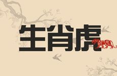 生肖虎的偏财位在哪里