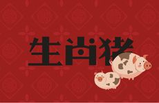 95年生肖猪找对象差几岁好