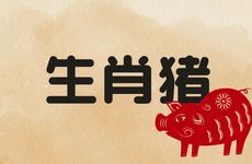 1983年生肖猪女大海水命一生命运