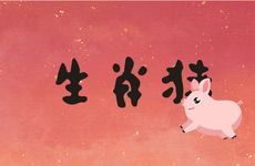 1995年生肖猪的男人性格和爱情