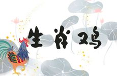 生肖鸡结婚当天犯冲的属相