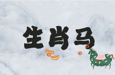 2002年生肖马男孩婚配如何