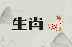 生肖兔的城墙土命和什么命最配