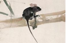 男鼠婚配表大全