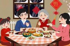 适合过年的时候插在家里的花