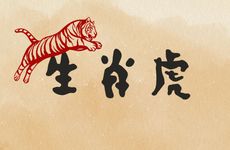 1986年生肖虎炉中火命适合做什么生意和职业