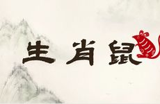 生肖鼠出生在哪两个季节财喜双收