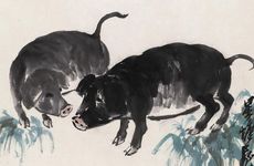 猪和猪相配能白头到老吗