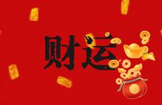 属龙人一生财运