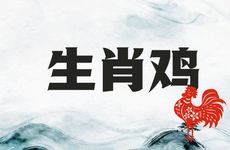 生肖鸡找对象找属什么的能长久