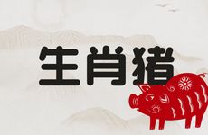 生肖猪在2025年12月运势如何