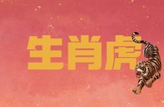 生肖虎和生肖狗一起做生意合不合财运